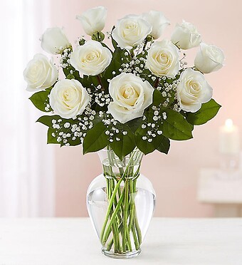 Rose Elegance&amp;trade; Premium Long Stem White Roses