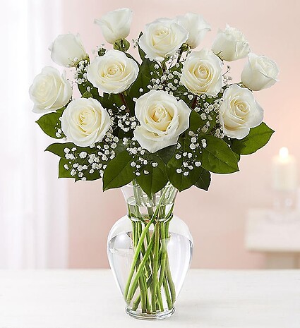 Rose Elegance&amp;trade; Premium Long Stem White Roses