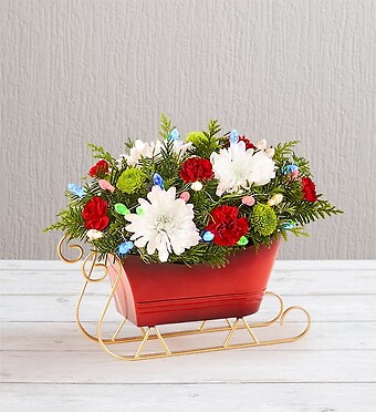 Dashing Through the Snow Sleigh&amp;trade;