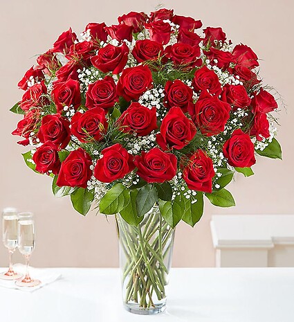Ultimate Elegance&amp;trade; Long Stem Red Roses