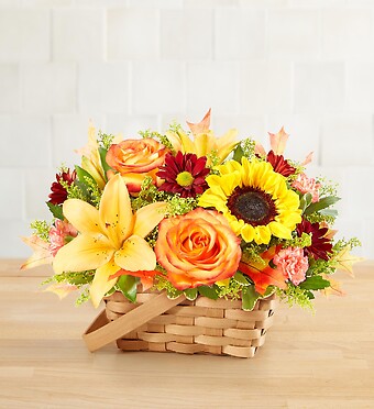 Fields of Europe&amp;reg; for Fall Basket