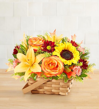 Fields of Europe&amp;reg; for Fall Basket
