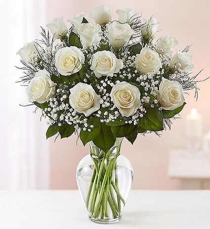 Rose Elegance&amp;trade; Premium Long Stem White Roses