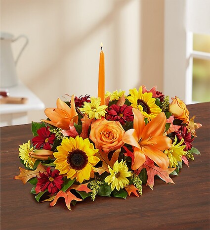 Fields of Europe&amp;reg; for Fall Centerpiece