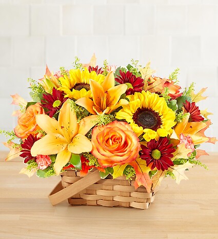 Fields of Europe&amp;reg; for Fall Basket