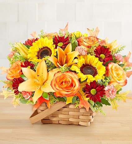 Fields of Europe&amp;reg; for Fall Basket
